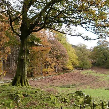Nyaraló The Oaks *